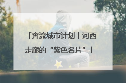 奔流城市计划丨河西走廊的“紫色名片”