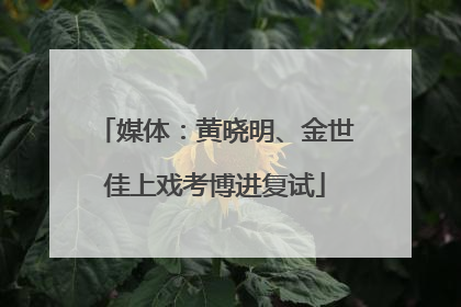 媒体：黄晓明、金世佳上戏考博进复试