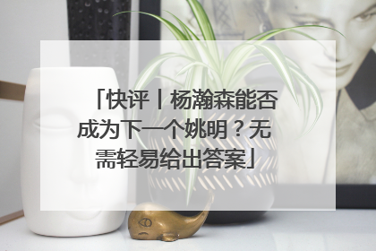 快评丨杨瀚森能否成为下一个姚明？无需轻易给出答案