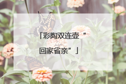 彩陶双连壶“回家省亲”