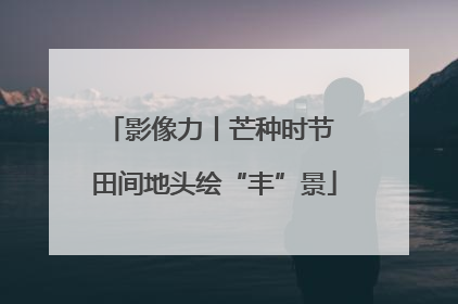 影像力丨芒种时节 田间地头绘“丰”景