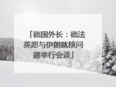 德国外长：德法英愿与伊朗就核问题举行会谈