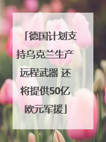 德国计划支持乌克兰生产远程武器 还将提供50亿欧元军援