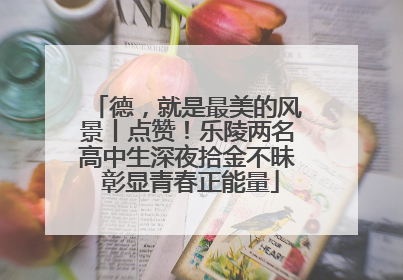 德，就是最美的风景丨点赞！乐陵两名高中生深夜拾金不昧 彰显青春正能量