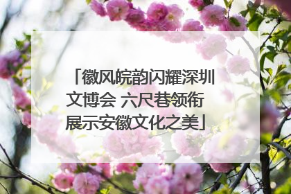 徽风皖韵闪耀深圳文博会 六尺巷领衔展示安徽文化之美