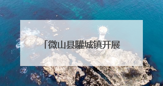 微山县驩城镇开展食品安全专项检查