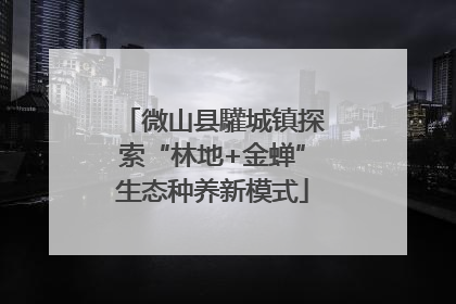 微山县驩城镇探索“林地+金蝉”生态种养新模式