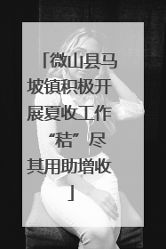 微山县马坡镇积极开展夏收工作 “秸”尽其用助增收