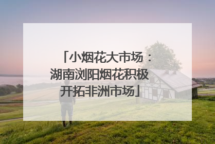 小烟花大市场：湖南浏阳烟花积极开拓非洲市场
