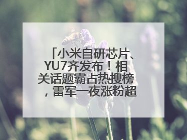 小米自研芯片、YU7齐发布！相关话题霸占热搜榜，雷军一夜涨粉超20万