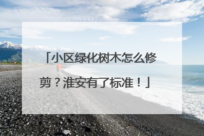 小区绿化树木怎么修剪？淮安有了标准！