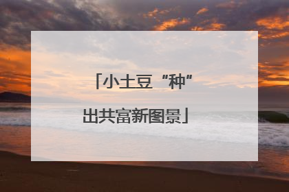 小土豆“种”出共富新图景