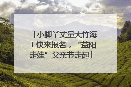 小脚丫丈量大竹海！快来报名，“益阳走娃”父亲节走起