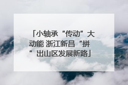 小轴承“传动”大动能 浙江新昌“拼”出山区发展新路