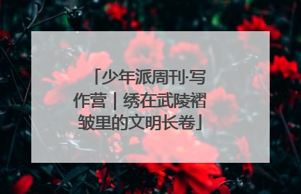 少年派周刊·写作营｜绣在武陵褶皱里的文明长卷