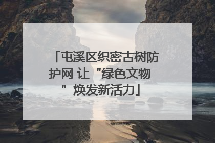 屯溪区织密古树防护网 让“绿色文物”焕发新活力