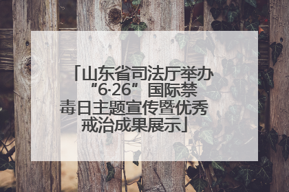 山东省司法厅举办“6·26”国际禁毒日主题宣传暨优秀戒治成果展示