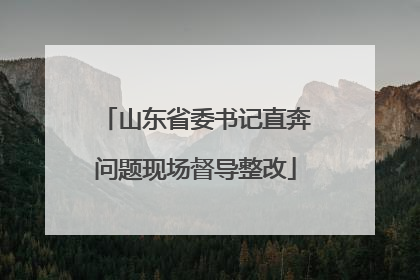 山东省委书记直奔问题现场督导整改