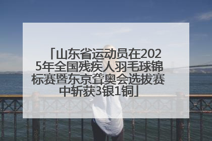 山东省运动员在2025年全国残疾人羽毛球锦标赛暨东京聋奥会选拔赛中斩获3银1铜