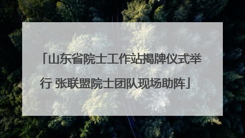 山东省院士工作站揭牌仪式举行 张联盟院士团队现场助阵