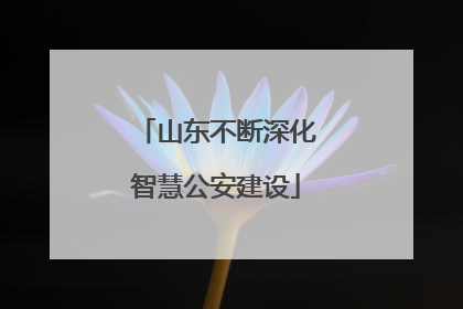 山东不断深化智慧公安建设