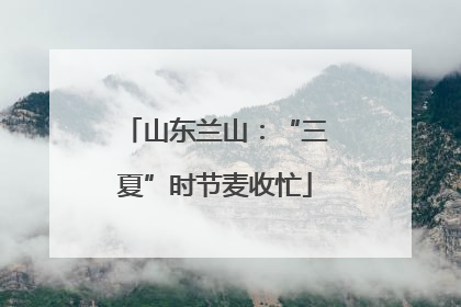 山东兰山：“三夏”时节麦收忙
