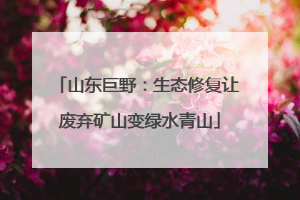 山东巨野：生态修复让废弃矿山变绿水青山
