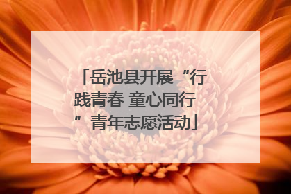 岳池县开展“行践青春 童心同行”青年志愿活动