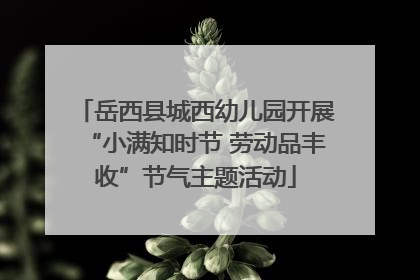 岳西县城西幼儿园开展“小满知时节 劳动品丰收”节气主题活动
