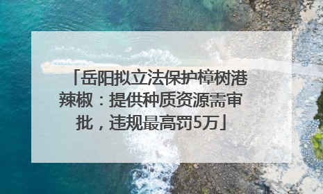 岳阳拟立法保护樟树港辣椒：提供种质资源需审批，违规最高罚5万