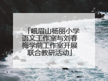 峨眉山杨丽小学语文工作室与刘春梅学前工作室开展联合教研活动