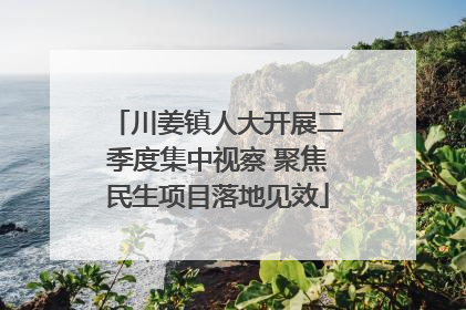 川姜镇人大开展二季度集中视察 聚焦民生项目落地见效