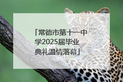 常德市第十一中学2025届毕业典礼温情落幕