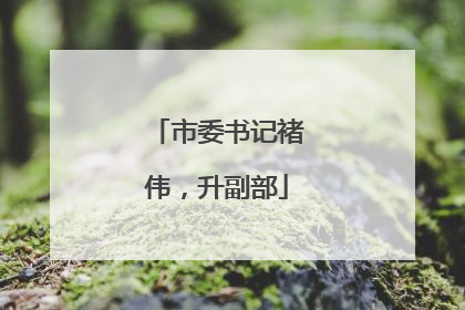 市委书记褚伟，升副部
