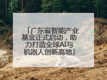 广东省智能产业基金正式启动，助力打造全球AI与机器人创新高地