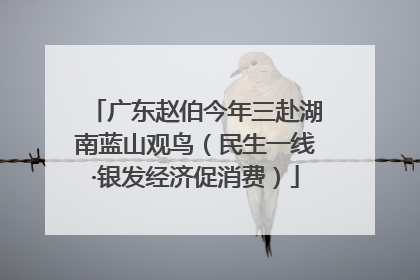 广东赵伯今年三赴湖南蓝山观鸟（民生一线·银发经济促消费）