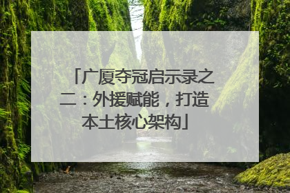 广厦夺冠启示录之二：外援赋能，打造本土核心架构