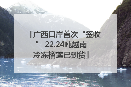 广西口岸首次“签收” 22.24吨越南冷冻榴莲已到货