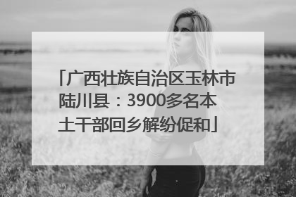 广西壮族自治区玉林市陆川县：3900多名本土干部回乡解纷促和