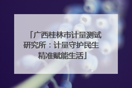 广西桂林市计量测试研究所：计量守护民生 精准赋能生活