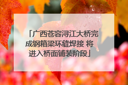 广西苍容浔江大桥完成钢箱梁环缝焊接 将进入桥面铺装阶段