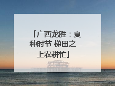 广西龙胜：夏种时节 梯田之上农耕忙