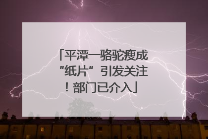 平潭一骆驼瘦成“纸片”引发关注！部门已介入