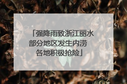 强降雨致浙江丽水部分地区发生内涝 各地积极抢险