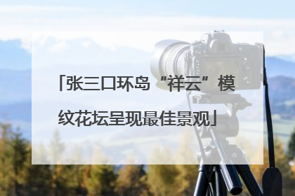 张三口环岛“祥云”模纹花坛呈现最佳景观