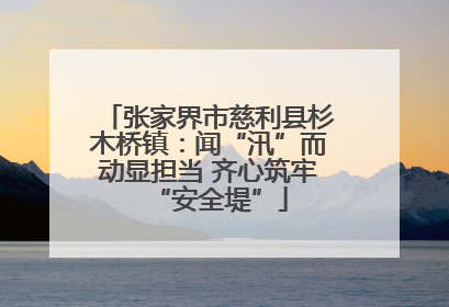 张家界市慈利县杉木桥镇：闻“汛”而动显担当 齐心筑牢“安全堤”