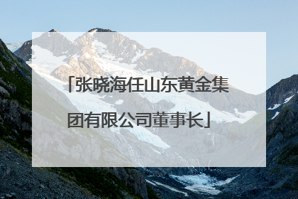 张晓海任山东黄金集团有限公司董事长