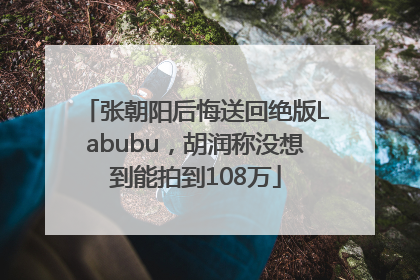 张朝阳后悔送回绝版Labubu，胡润称没想到能拍到108万