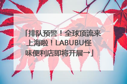 排队预警！全球顶流来上海啦！LABUBU怪味便利店即将开展→
