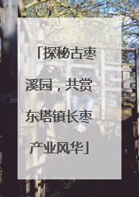 探秘古枣溪园，共赏东塔镇长枣产业风华